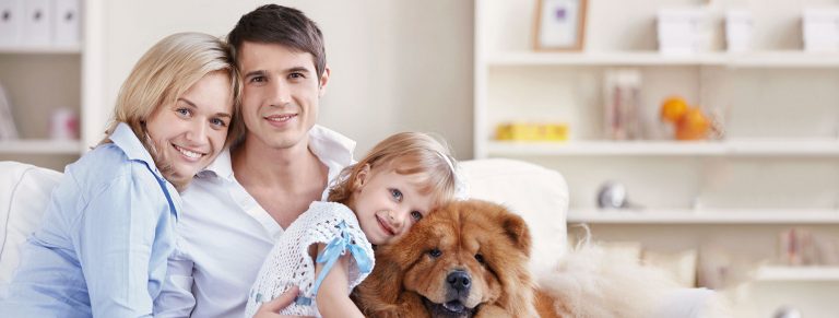 Servicio técnico Ferroli en Pozuelo de Alarcón